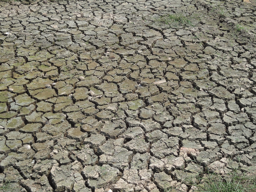 PalestineisraelWATERprob